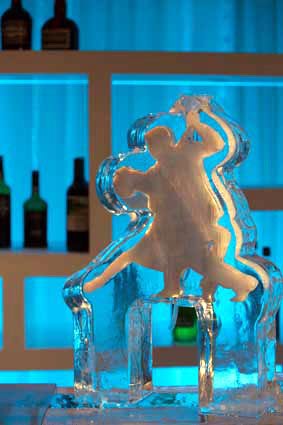 Ice luge